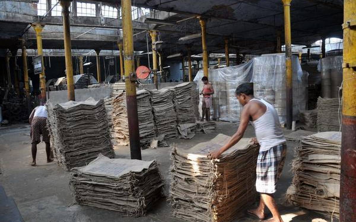 Imponderables Mark Start of Jute Year, Rise in Mills’ Capacity Use a